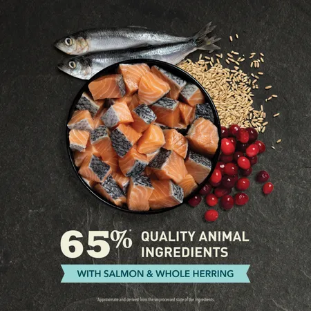 ACANA Bountiful Catch Salmon Catfish and Herring Dry Cat Food