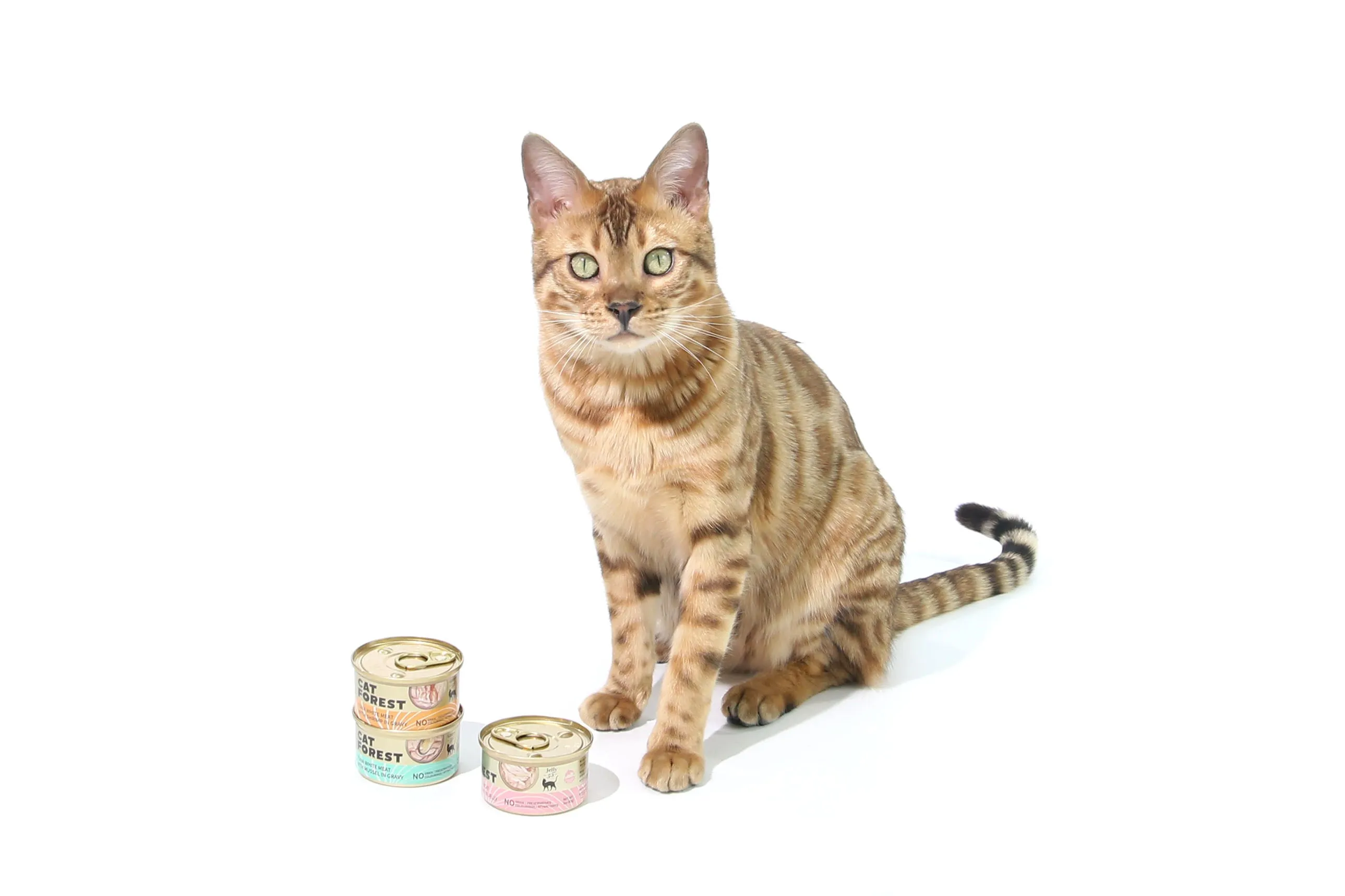 CAT FOREST Tuna White Meat with Mussel in Gravy Cat Wet Food 85g x 24