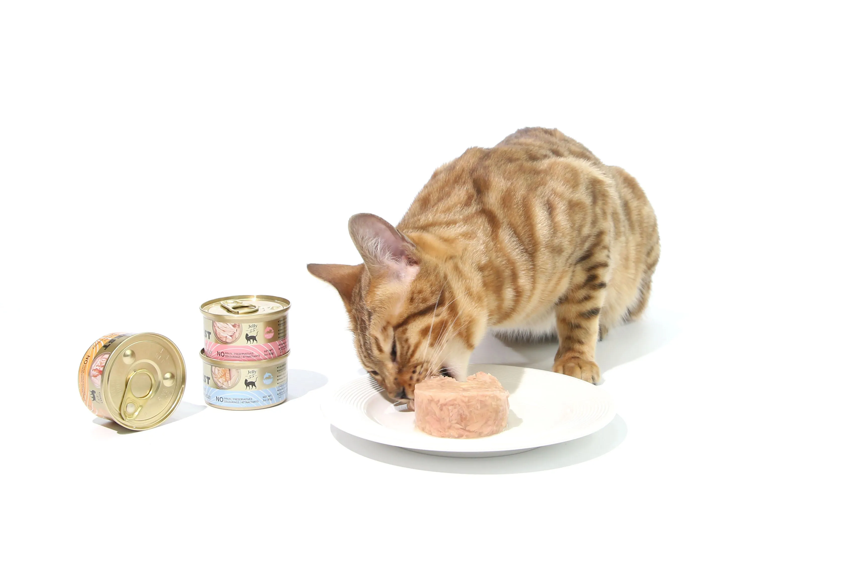 CAT FOREST Tuna White Meat with Mussel in Gravy Cat Wet Food 85g x 24