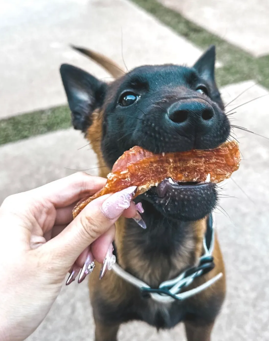 Chicken Tenders