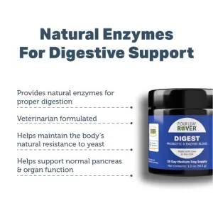 Digest - Digestive Enzymes