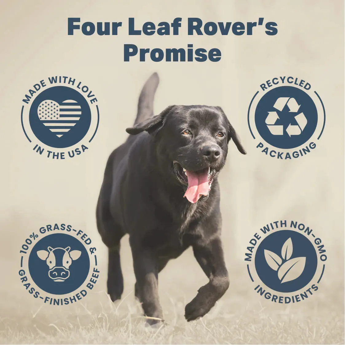 Four Leaf Rover Saccharomyces Boulardii Probiotic Yeast Supplements for Dogs