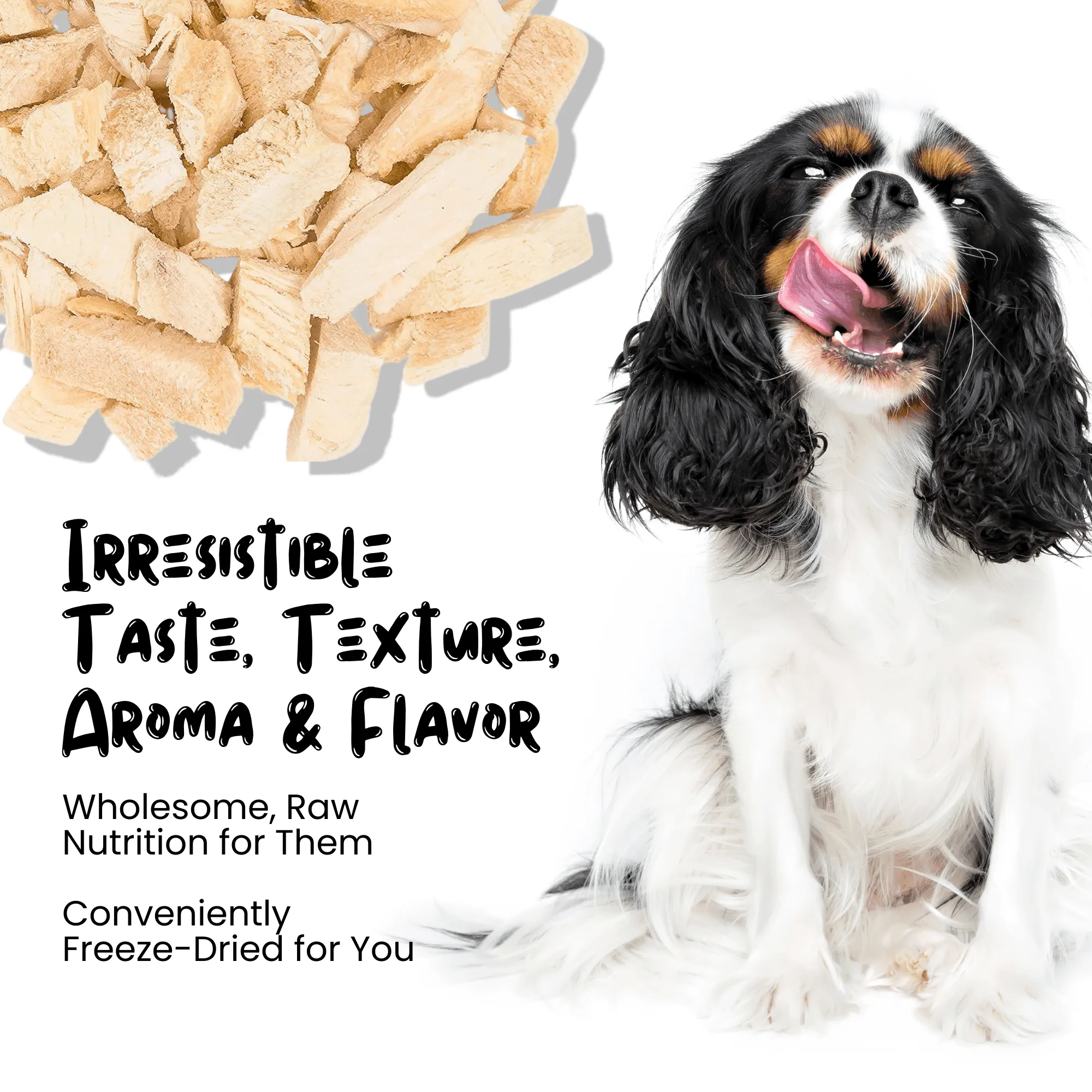 Freeze Dried Chicken Breast Treats for Cats & Dogs