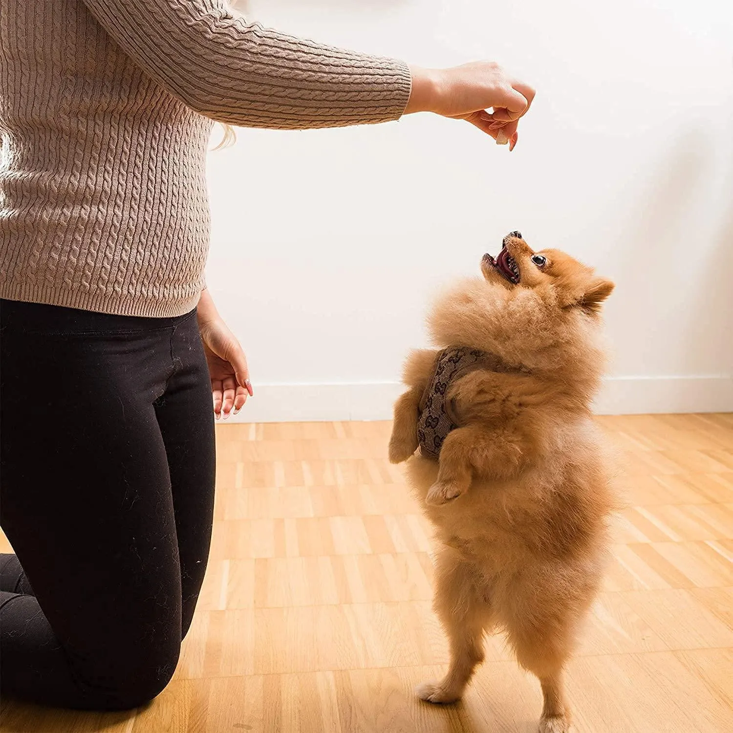 Freeze Dried Chicken Breast Treats for Dogs & Cats