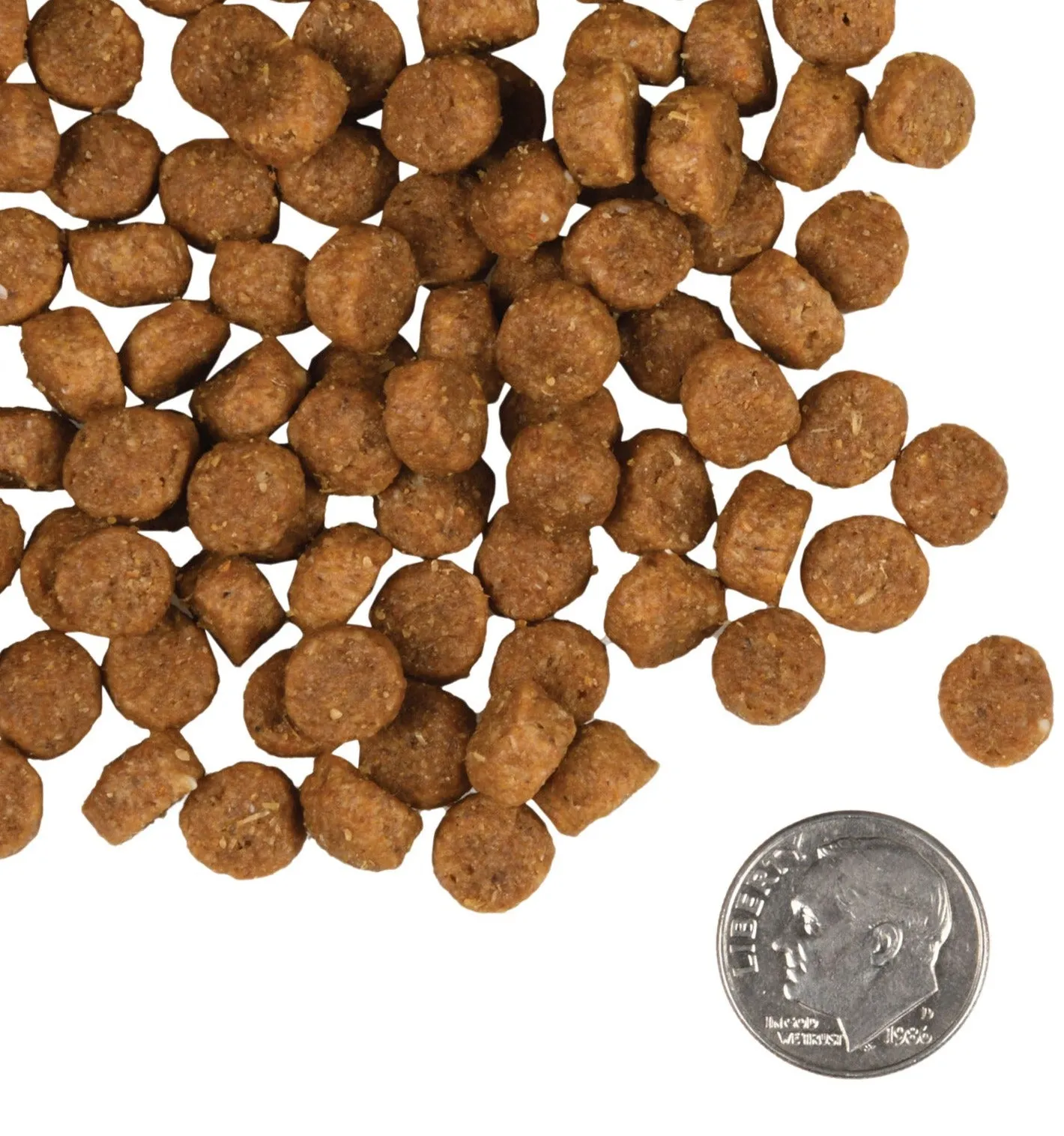 Fromm Puppy Gold Dry Dog Food