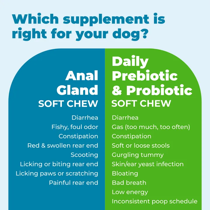 Glandex® Daily Prebiotic & Probiotic Soft Chews