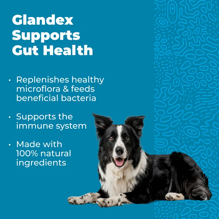 Glandex® Daily Prebiotic & Probiotic Soft Chews