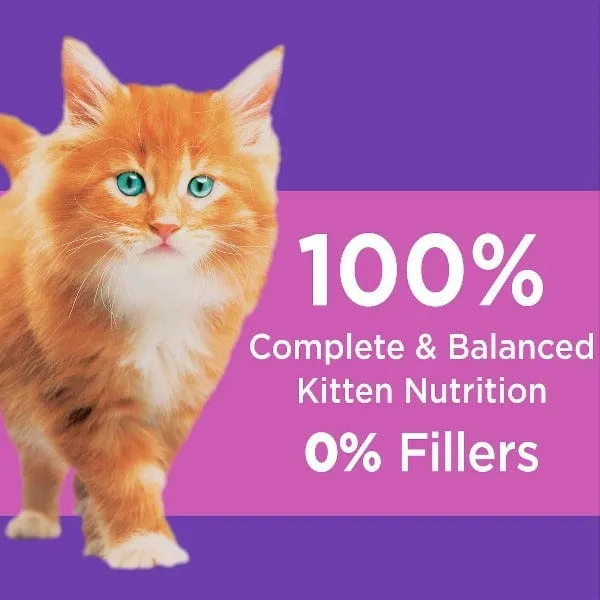 IAMS Proactive Health Healthy Kitten Dry Cat Food