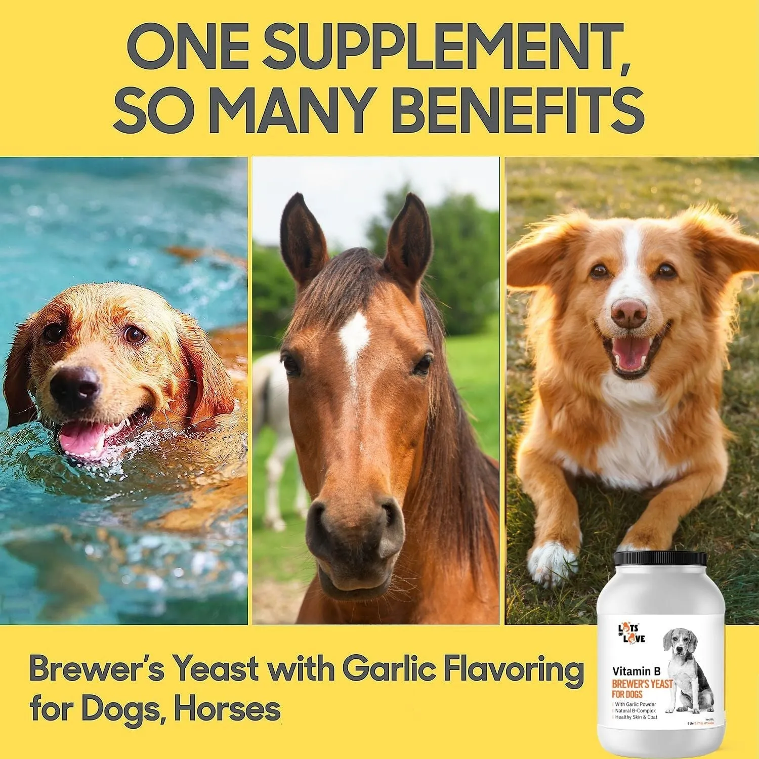 Lots of Love Brewer's Yeast/Garlic Powder