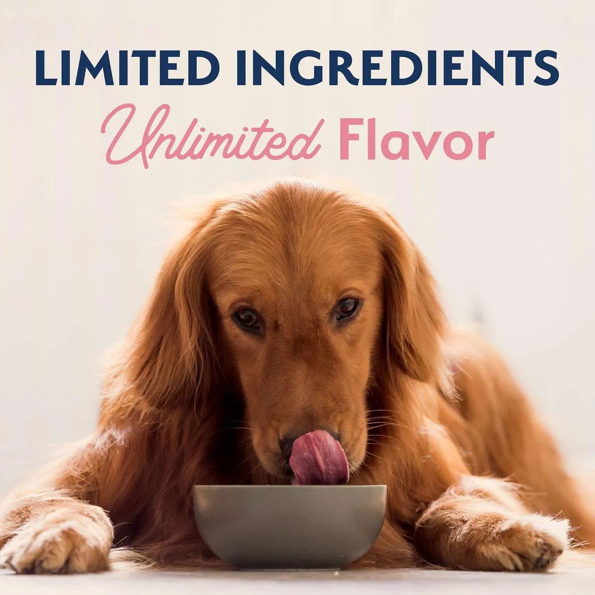 Natural Balance Limited Ingredient Diet Adult Dry Dog Food with Healthy Grains Salmon