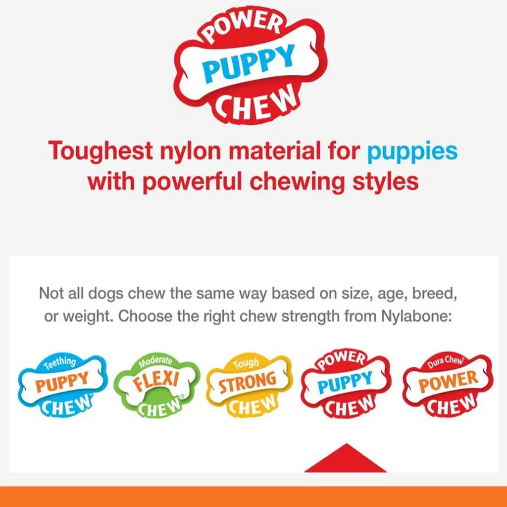 Nylabone Puppy Power Chew Teething Toy Rings Dogs Bacon Flavor, Small