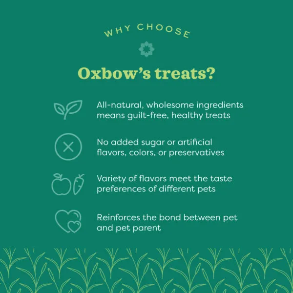 Oxbow Simple Rewards Baked Treats - Cranberry