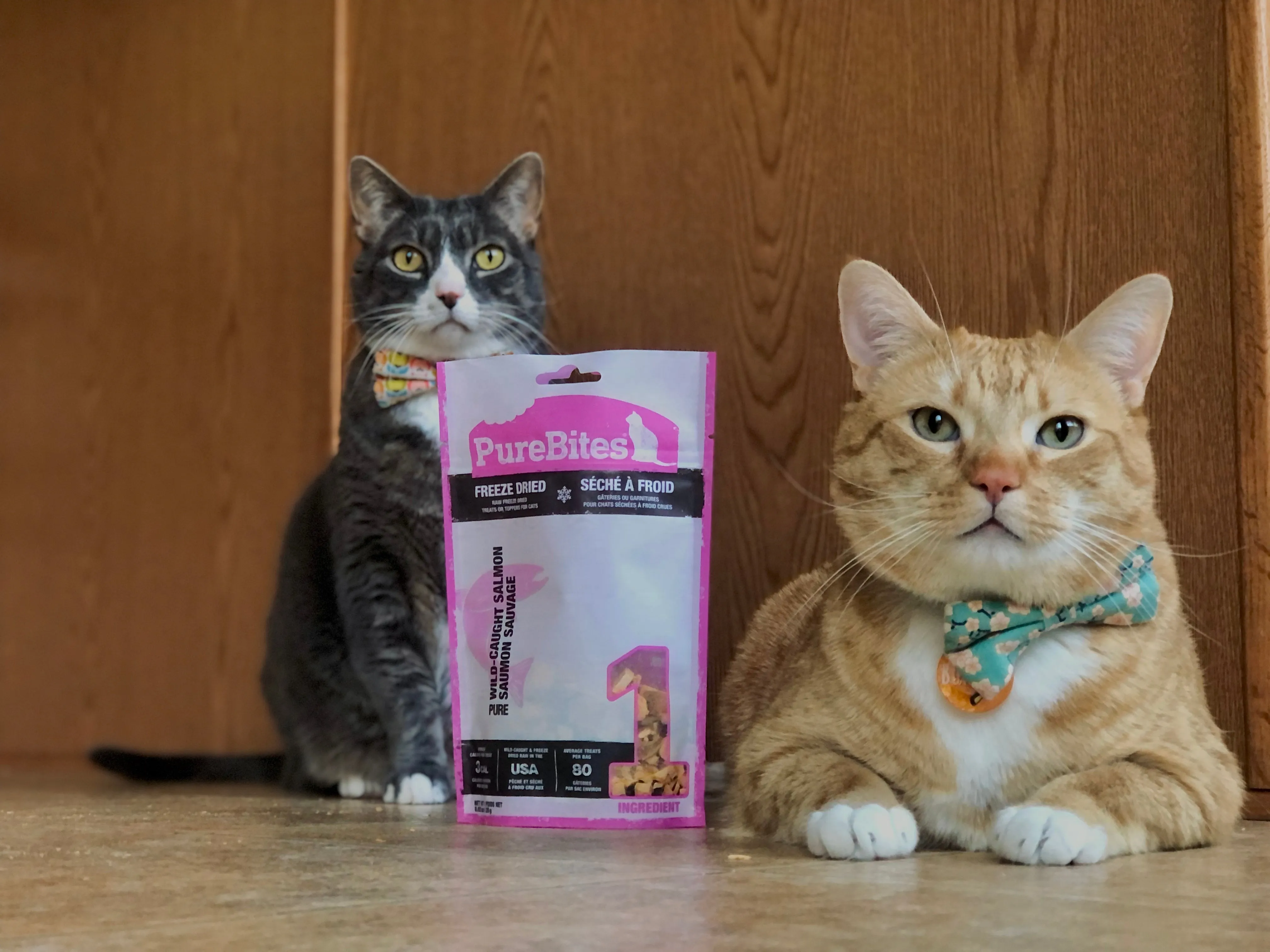 PureBites Freeze Dried Salmon Cat Treats