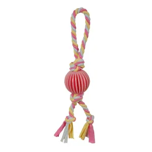 SmartPetLove Puppy's 1st Toys - Ball on Rope