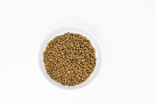 Stella & Chewy's Baked Kibble for Cats - Raw Coated Cage-Free Chicken Dry Cat Food