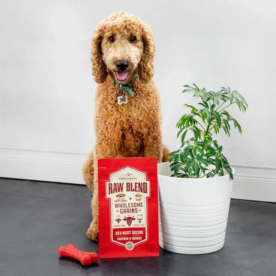 Stella & Chewy's Wholesome Grain Red Meat Recipe Raw Blend Baked Kibble Dog Food