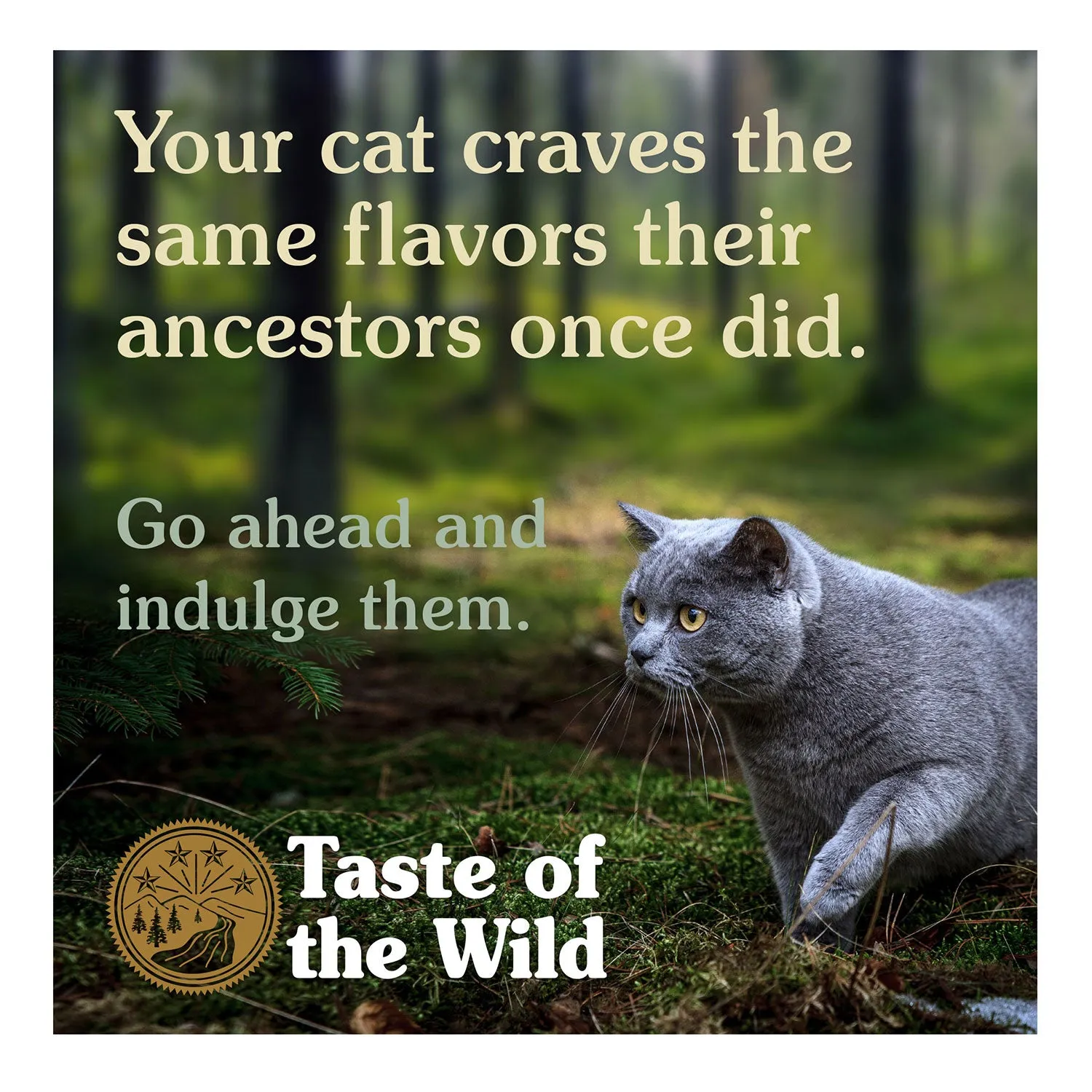 Taste of the Wild Grain Free Rocky Mountain Adult Dry Cat Food