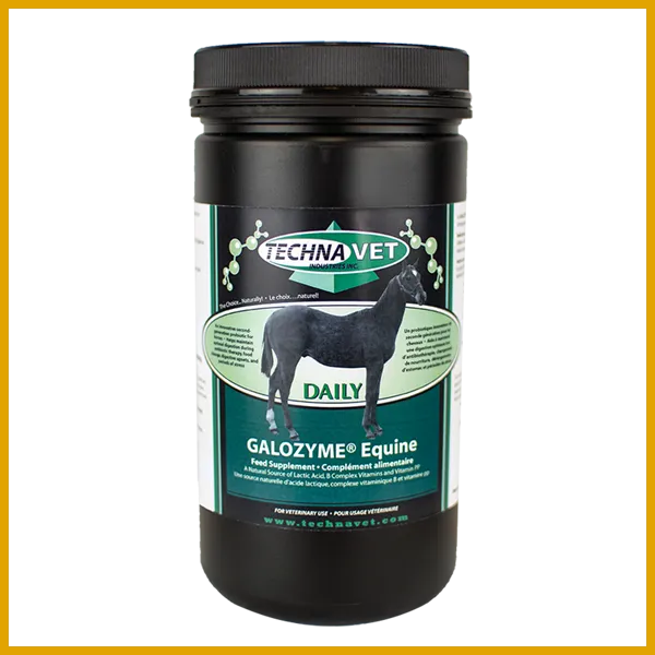 TechnaVet Galozyme Equine Daily 600g