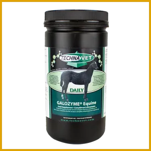 TechnaVet Galozyme Equine Daily 600g