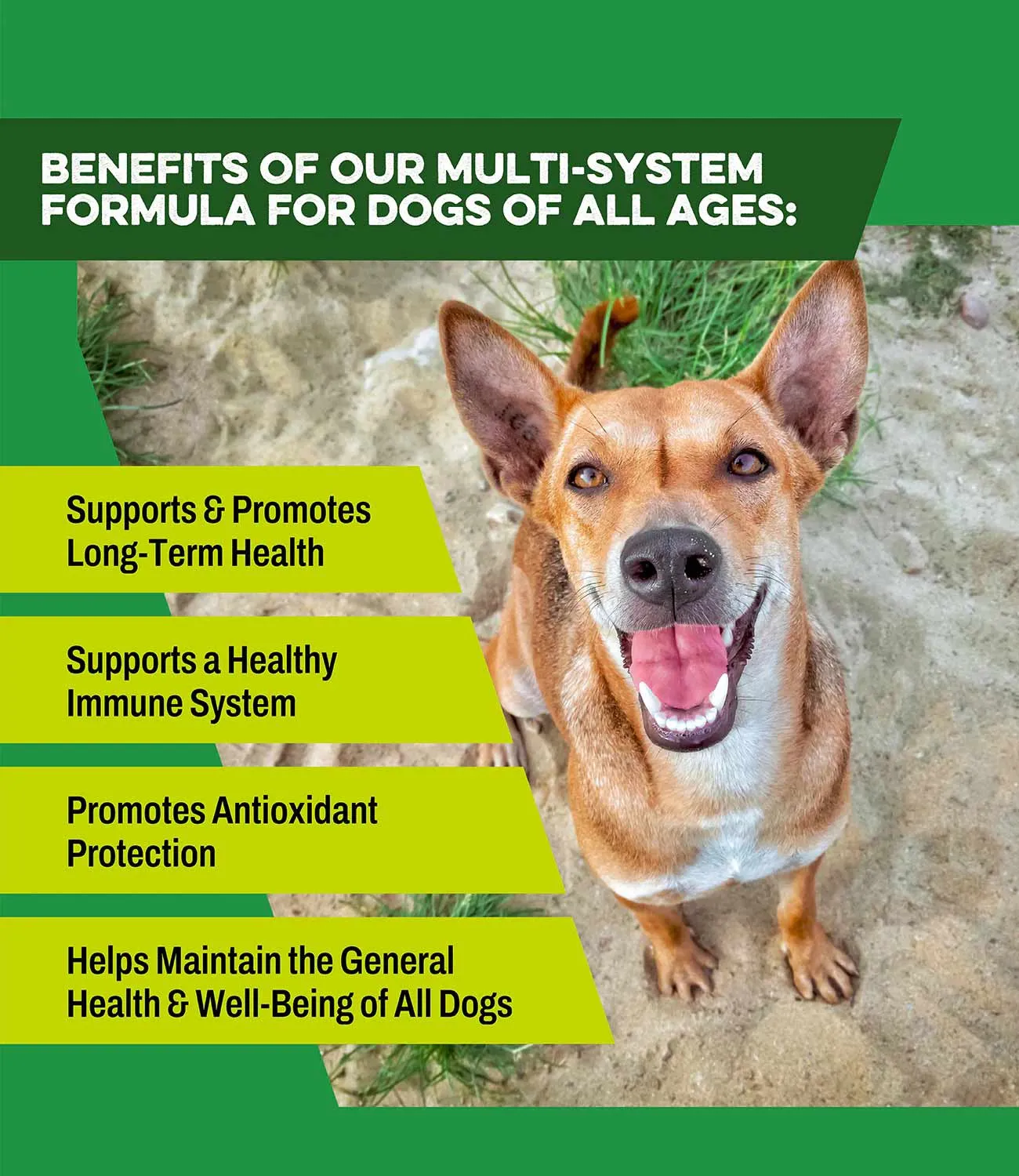 Total K9 Health Supplement for Dogs of All Ages