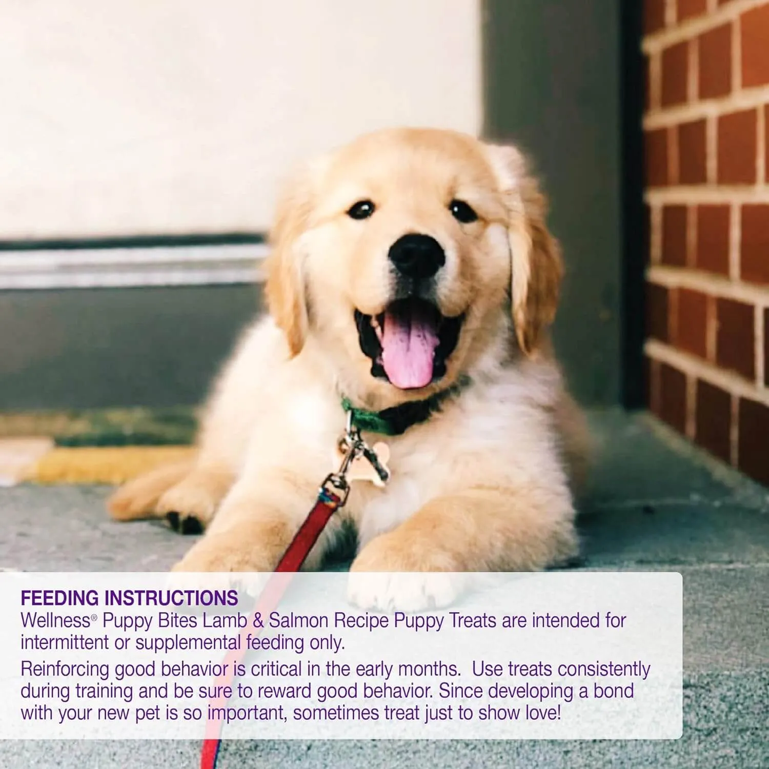 Wellness Just For Puppy Treats