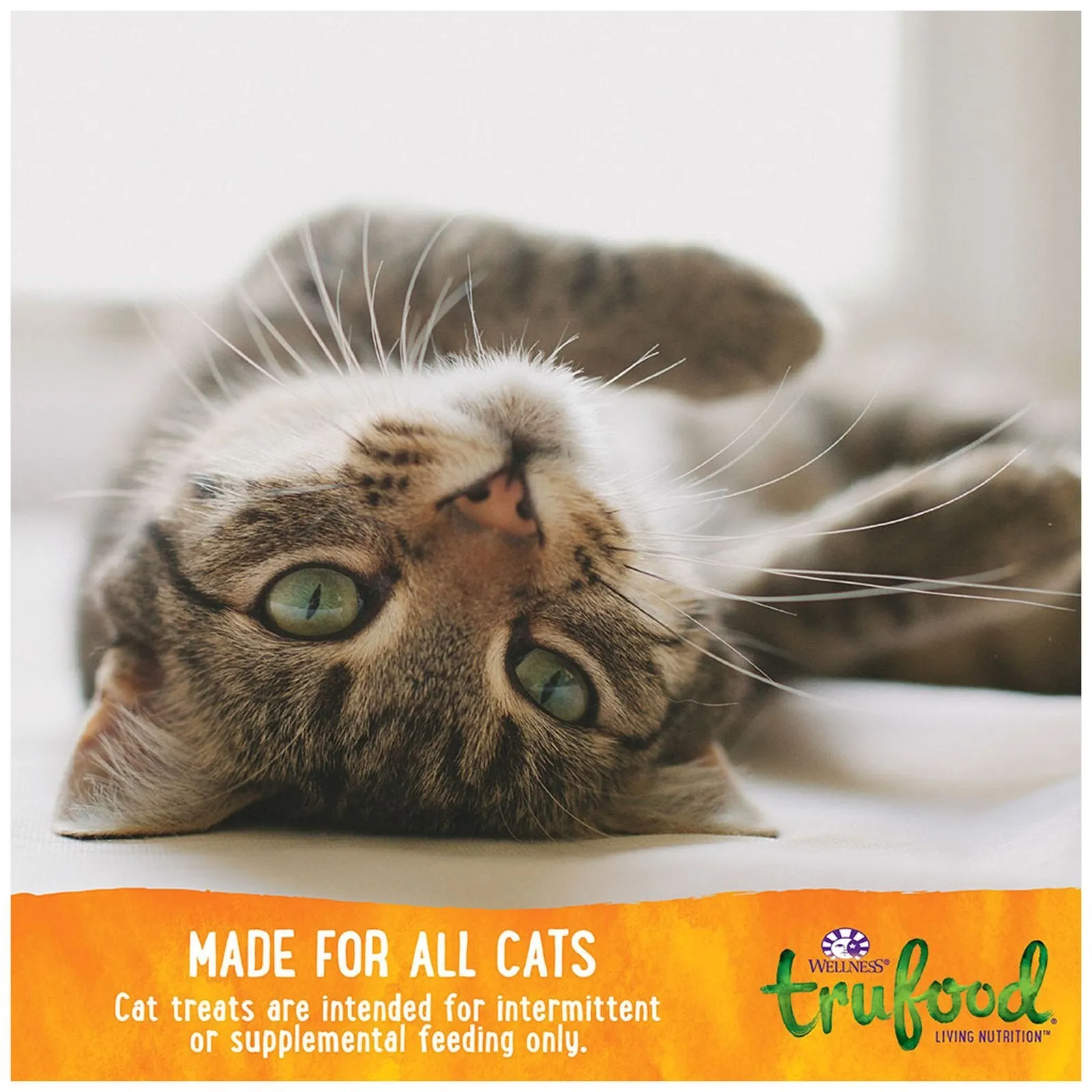 Wellness TruFood CocoChia Bakes with Salmon, Coconut Oil and Spinach Grain-Free Cat Treats 3oz